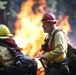 Experimental Forest Prescribed Burn