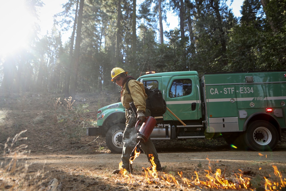 Experimental Forest Prescribed Burn