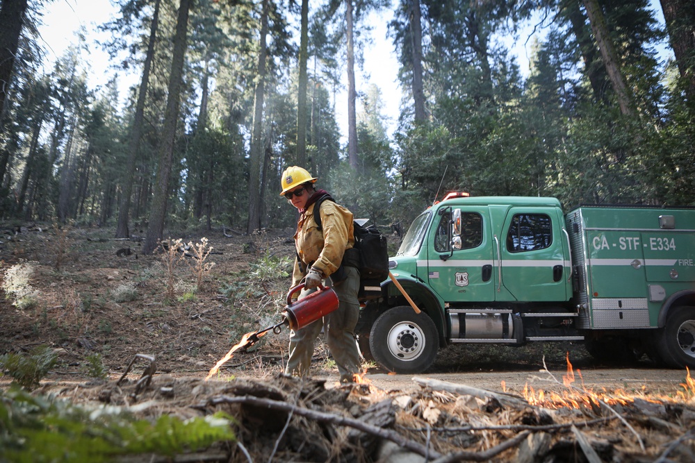 Experimental Forest Prescribed Burn