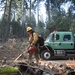 Experimental Forest Prescribed Burn