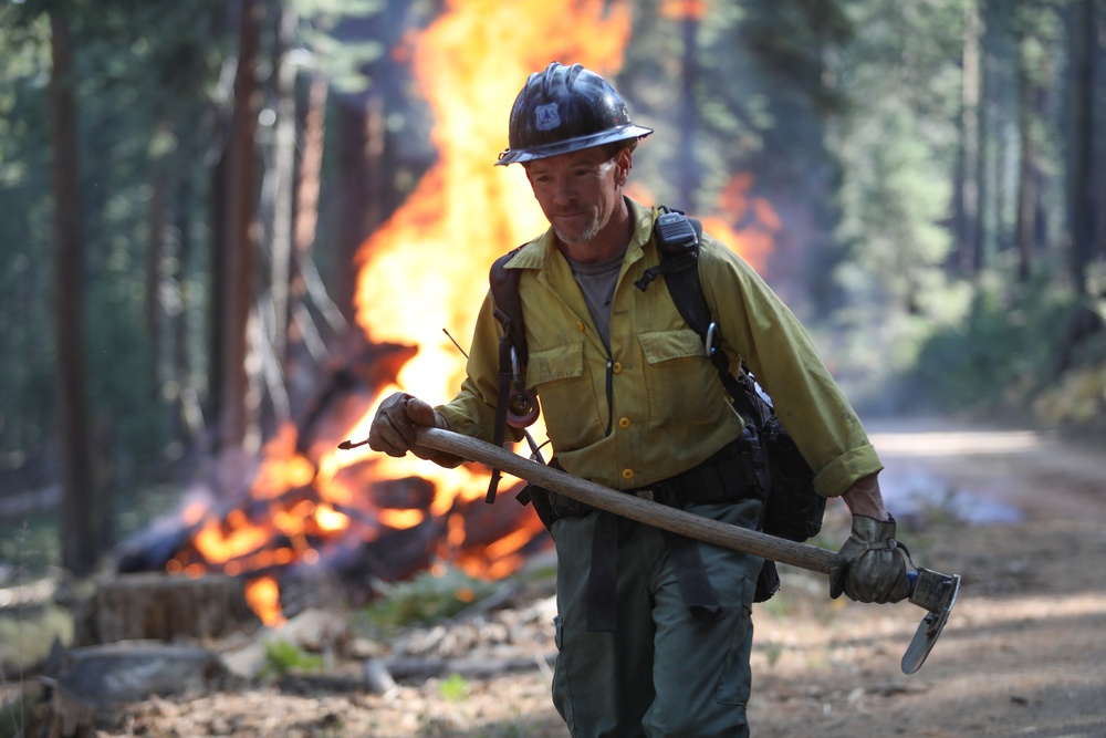 Experimental Forest Prescribed Burn