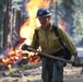 Experimental Forest Prescribed Burn