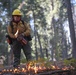 Experimental Forest Prescribed Burn