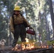 Experimental Forest Prescribed Burn