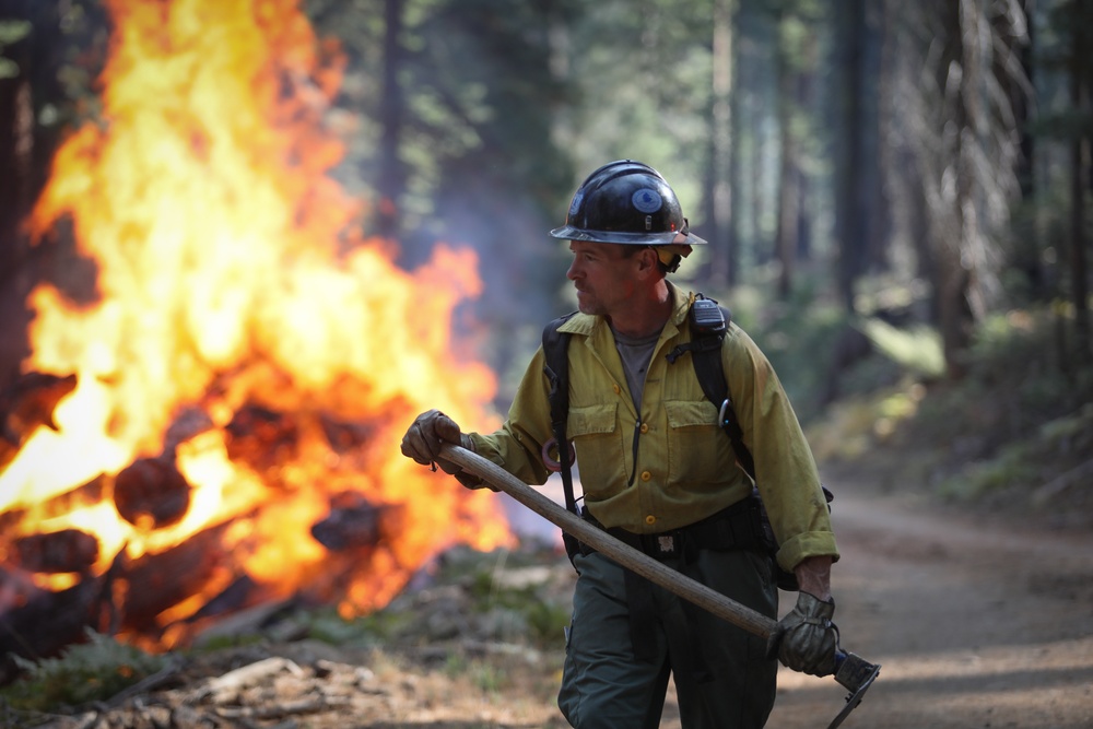 Experimental Forest Prescribed Burn