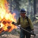 Experimental Forest Prescribed Burn
