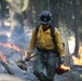 Experimental Forest Prescribed Burn