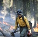 Experimental Forest Prescribed Burn