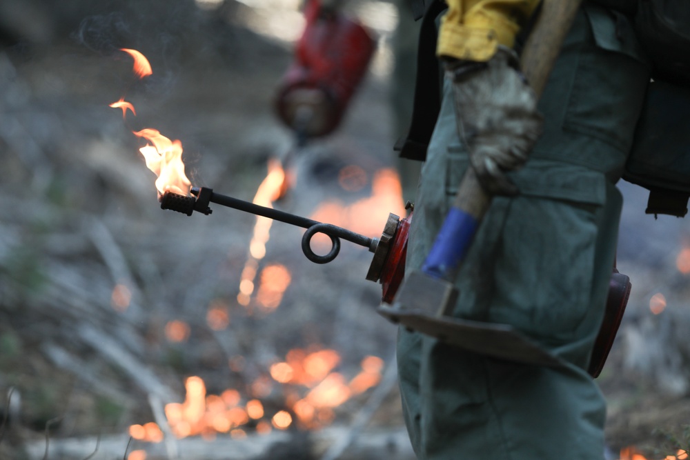 Experimental Forest Prescribed Burn