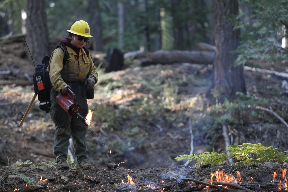 Experimental Forest Prescribed Burn