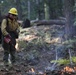 Experimental Forest Prescribed Burn