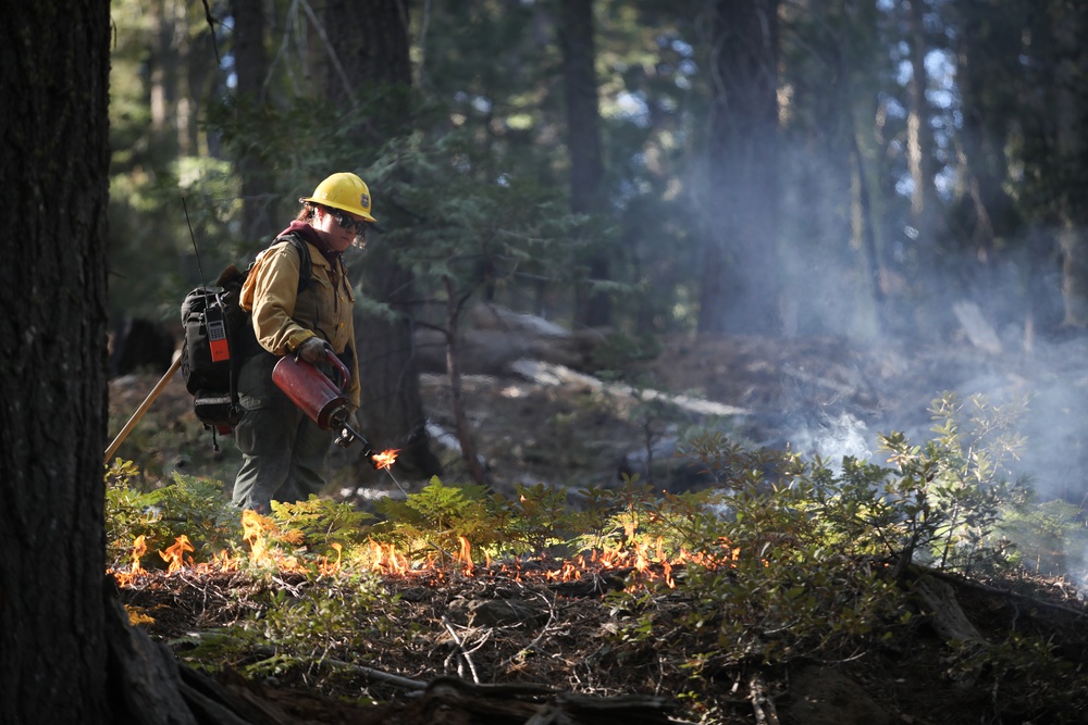 Experimental Forest Prescribed Burn