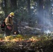 Experimental Forest Prescribed Burn