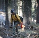 Experimental Forest Prescribed Burn