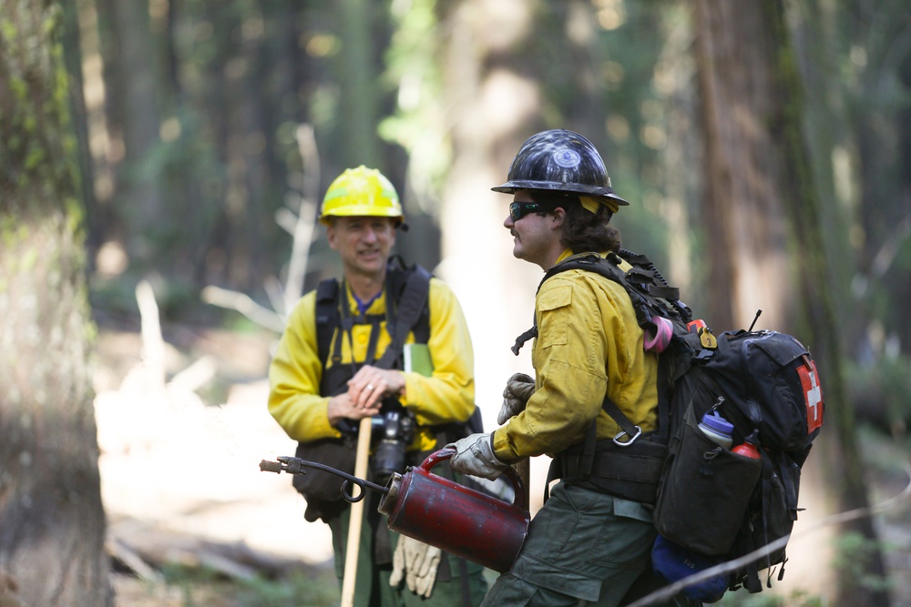 Experimental Forest Prescribed Burn