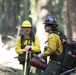 Experimental Forest Prescribed Burn