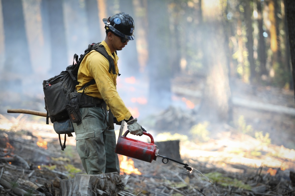 Experimental Forest Prescribed Burn