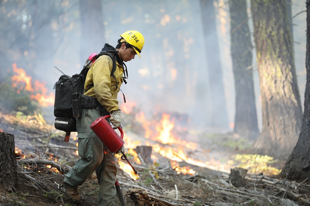 Experimental Forest Prescribed Burn
