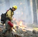 Experimental Forest Prescribed Burn