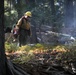 Experimental Forest Prescribed Burn