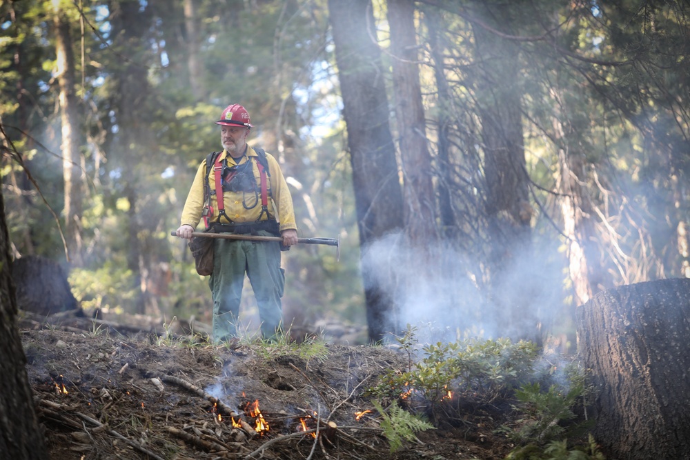 Experimental Forest Prescribed Burn