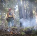 Experimental Forest Prescribed Burn