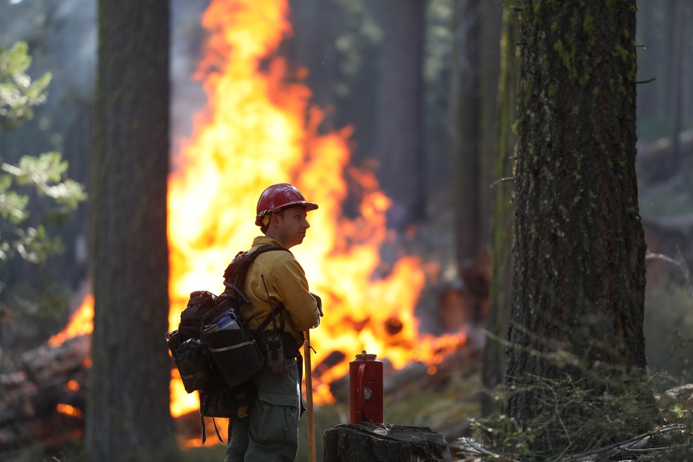 Experimental Forest Prescribed Burn