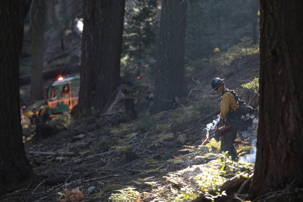 Experimental Forest Prescribed Burn