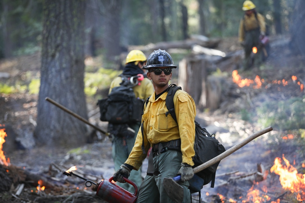 Experimental Forest Prescribed Burn