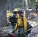 Experimental Forest Prescribed Burn