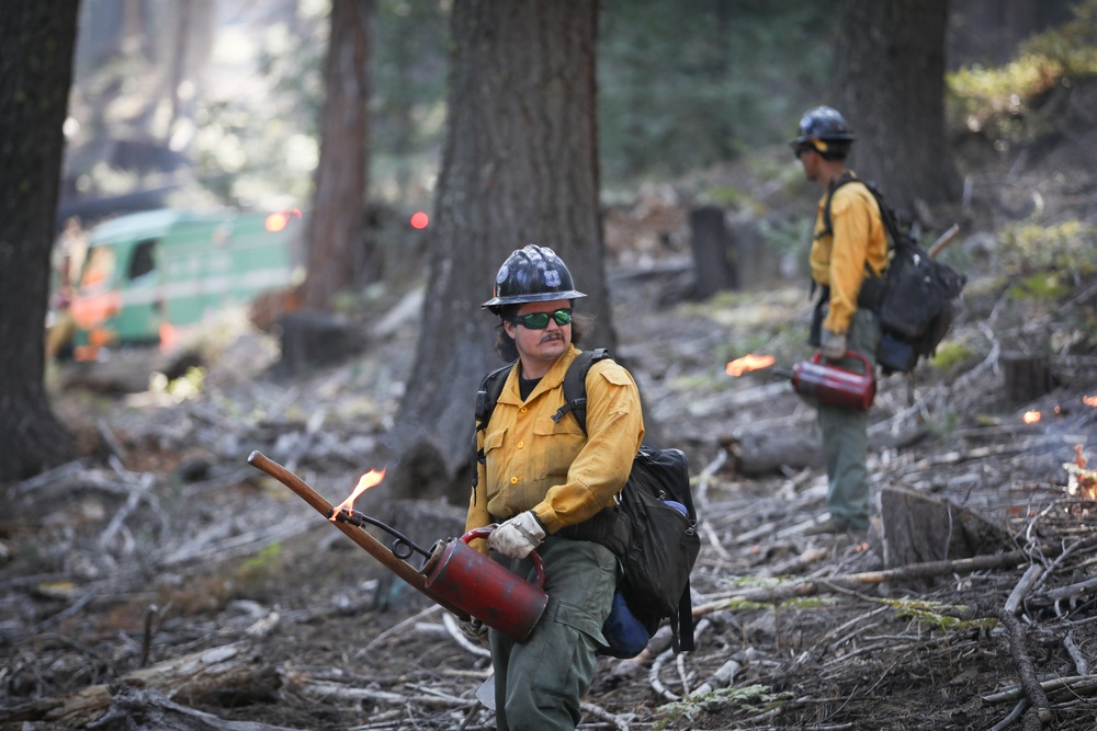 Experimental Forest Prescribed Burn