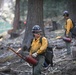 Experimental Forest Prescribed Burn