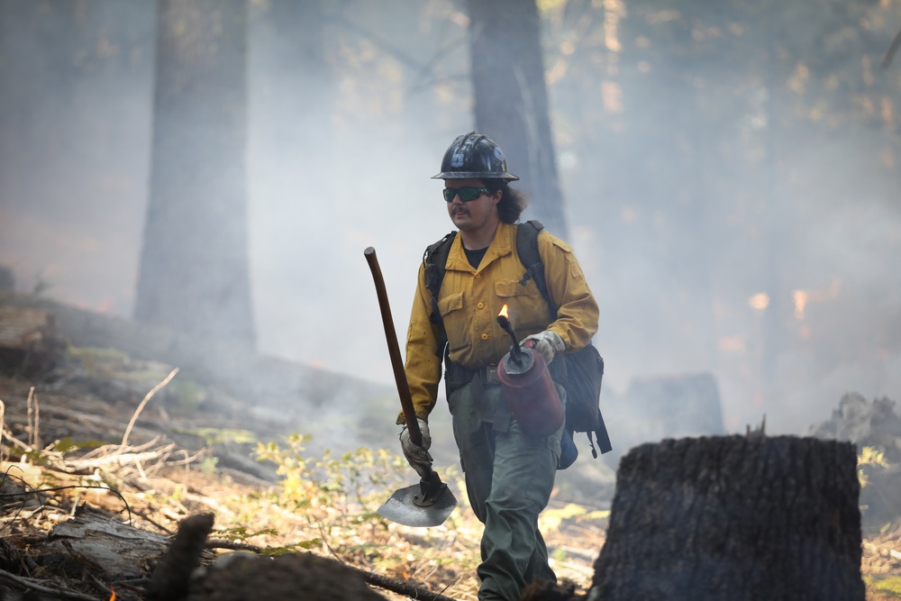Experimental Forest Prescribed Burn