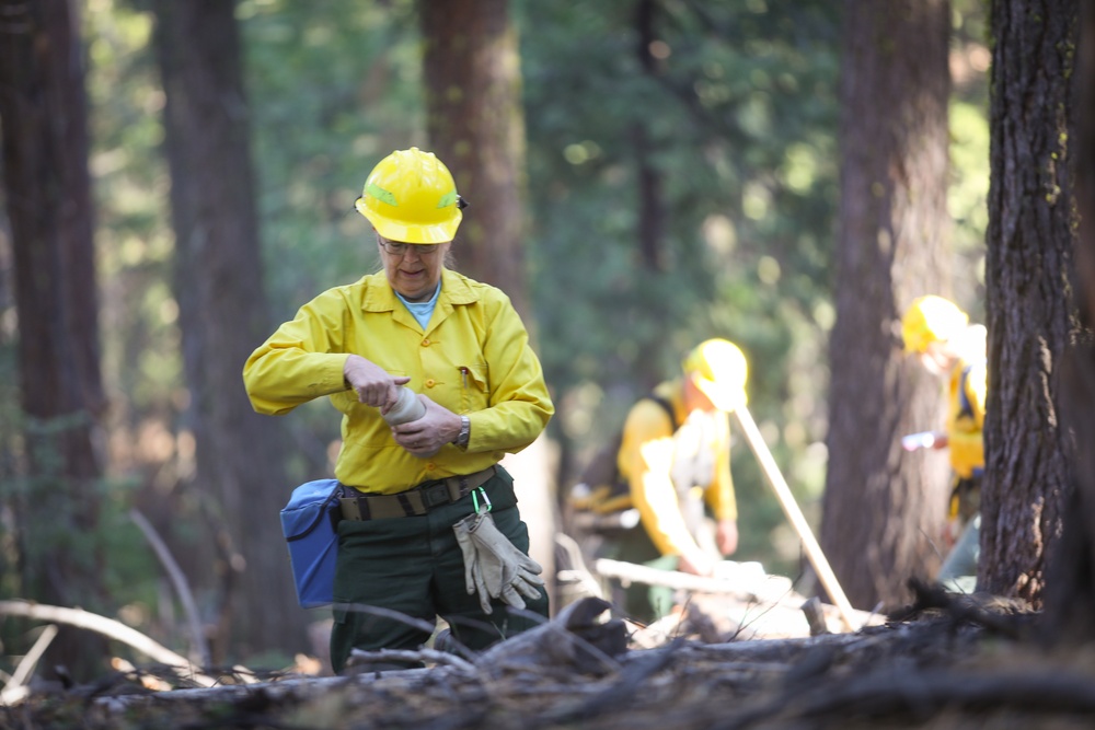 Experimental Forest Prescribed Burn