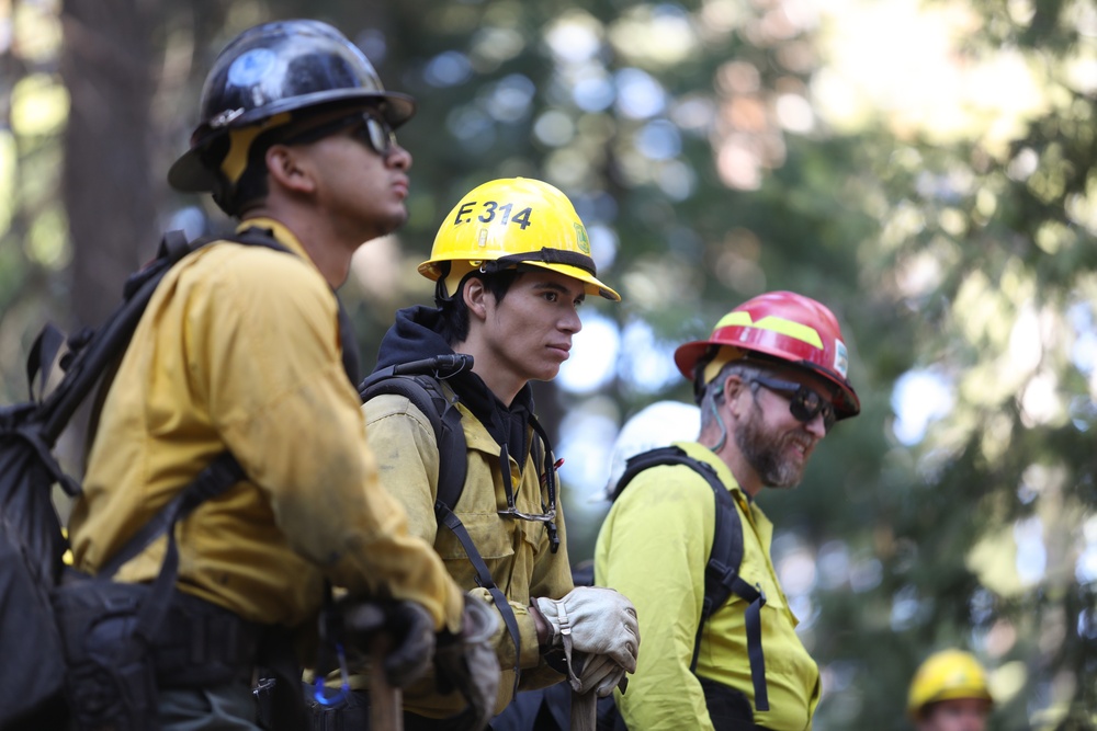 Experimental Forest Prescribed Burn