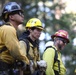 Experimental Forest Prescribed Burn