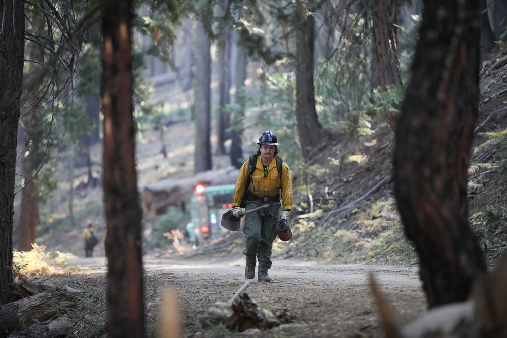 Experimental Forest Prescribed Burn