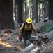 Experimental Forest Prescribed Burn