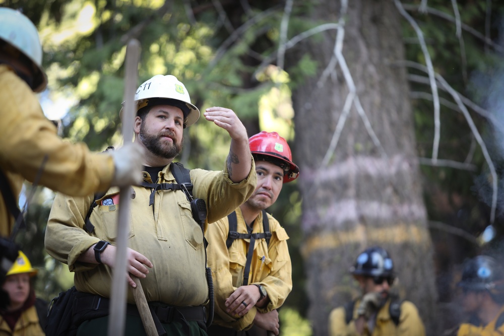 Experimental Forest Prescribed Burn