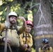 Experimental Forest Prescribed Burn