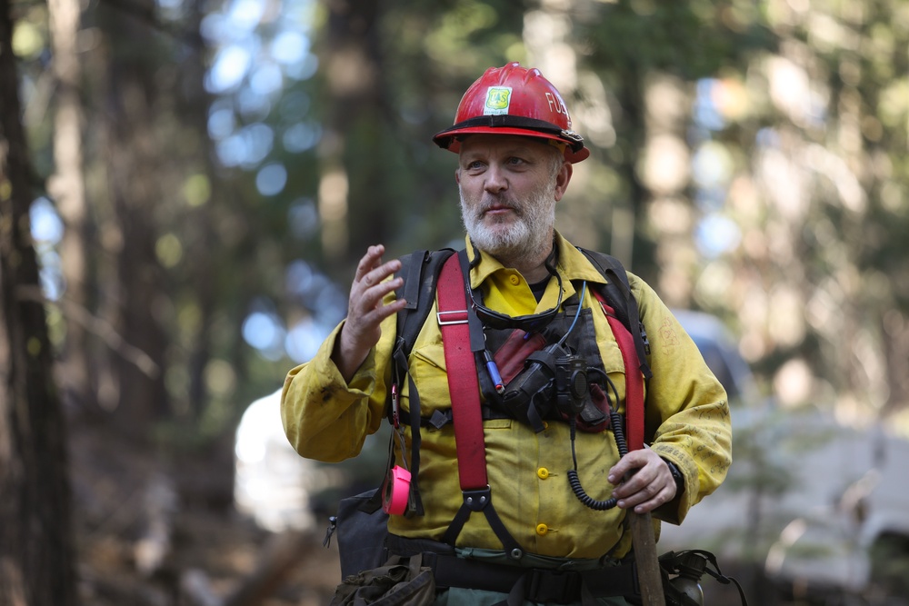 Experimental Forest Prescribed Burn