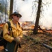Experimental Forest Prescribed Burn