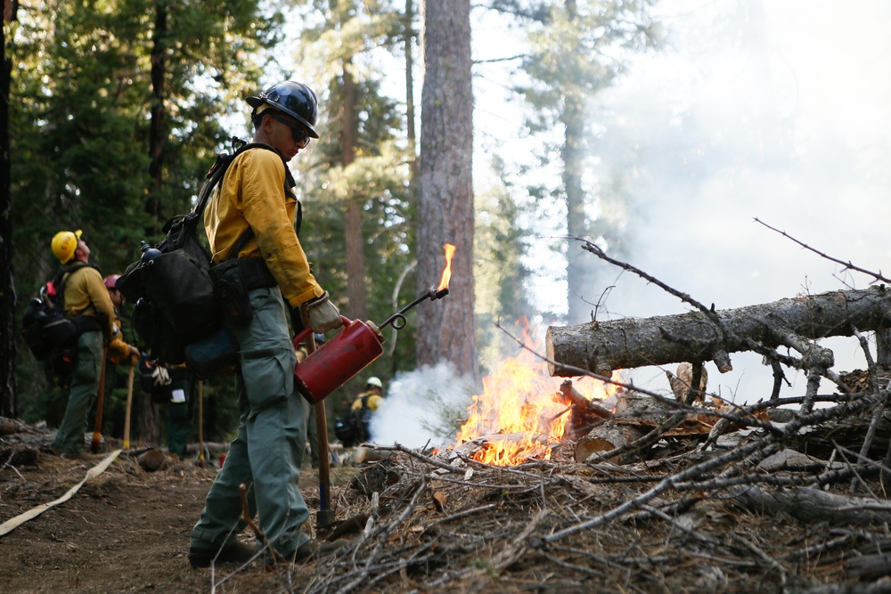 Experimental Forest Prescribed Burn