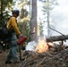Experimental Forest Prescribed Burn