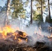 Experimental Forest Prescribed Burn