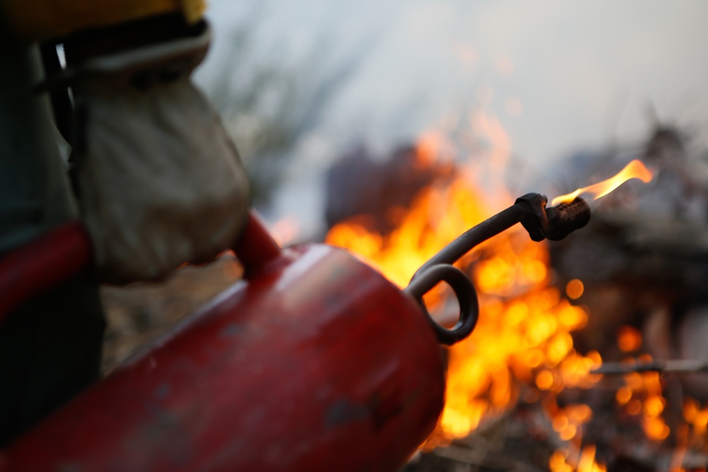 Experimental Forest Prescribed Burn