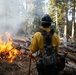 Experimental Forest Prescribed Burn