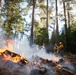 Experimental Forest Prescribed Burn