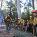 Experimental Forest Prescribed Burn