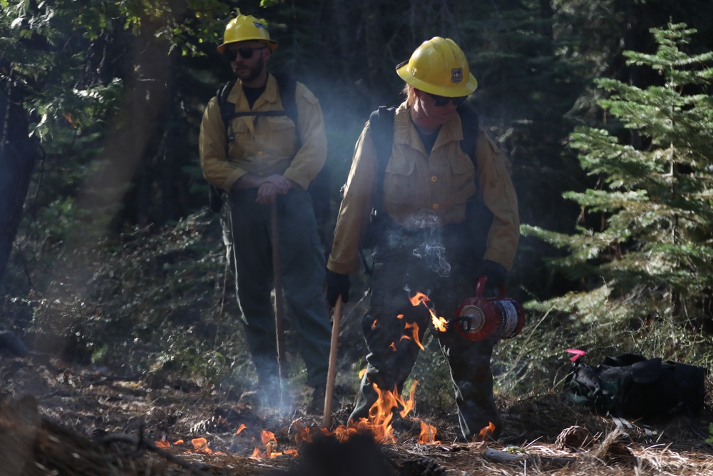 Experimental Forest Prescribed Burn
